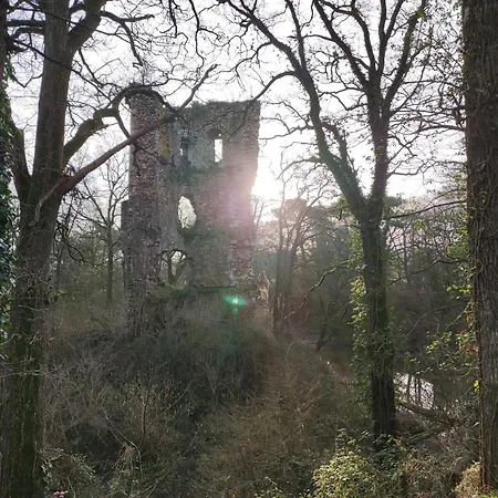 홈스테이 Chez L'habitante 